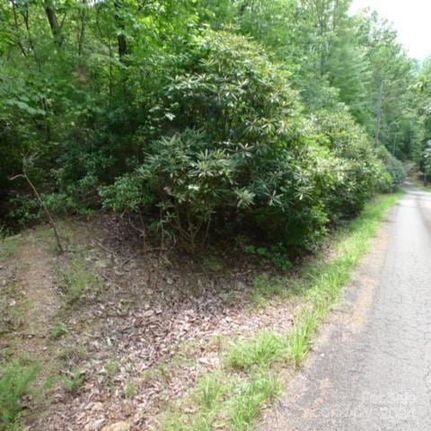 Undeveloped Land for sale in Surry County, North Carolina