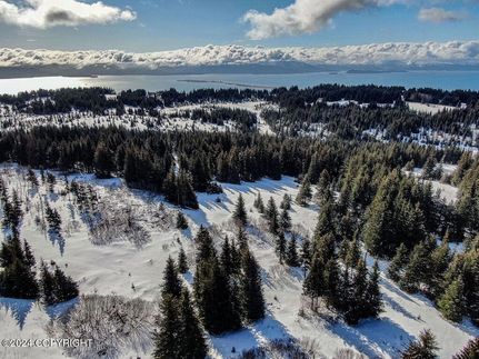 Undeveloped Land for sale in Kenai Peninsula Borough, Alaska