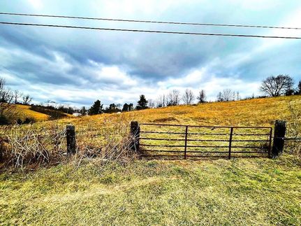 Undeveloped Land for sale in Wythe County, Virginia