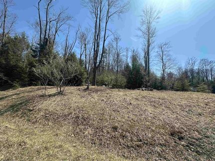 Riverfront Property for sale in Tucker County, West Virginia