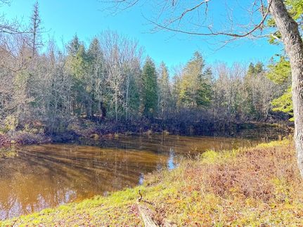 Farm and Ranch for sale in Chippewa County, Michigan