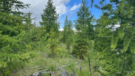 Farm and Ranch for sale in Clearwater County, Idaho