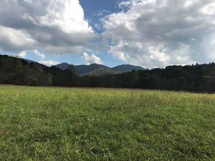 Lakefront Property for sale in Towns County, Georgia