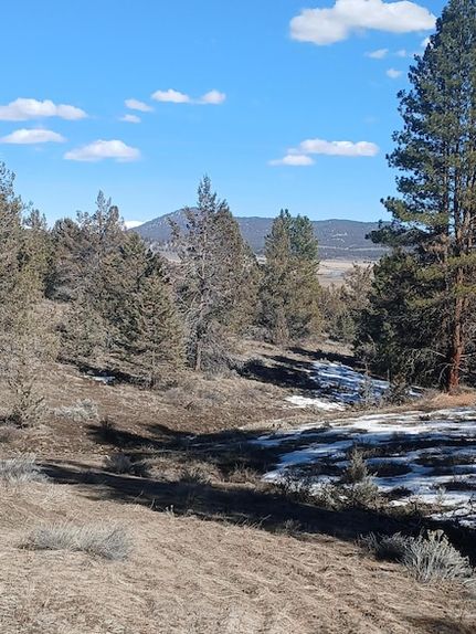 Undeveloped Land for sale in Klamath County, Oregon