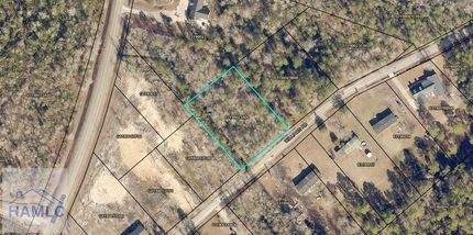 Timberland Property for sale in Effingham County, Georgia