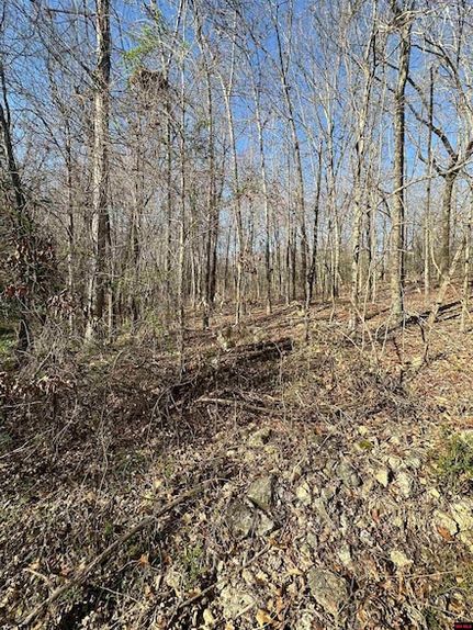 Homesite for sale in Sharp County, Arkansas