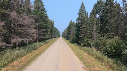 Undeveloped Land for sale in Beltrami County, Minnesota