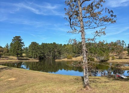 Recreational Property for sale in Toombs County, Georgia