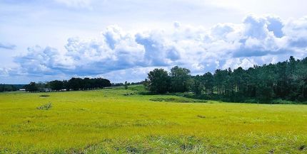 Undeveloped Land for sale in Pasco County, Florida