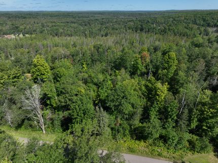 Undeveloped Land for sale in Langlade County, Wisconsin