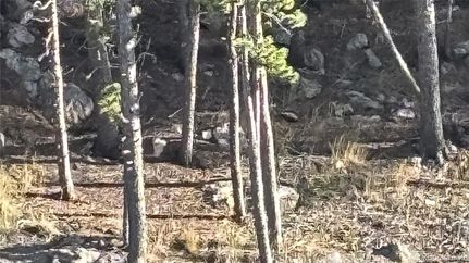 Land for sale in Gilpin County, Colorado