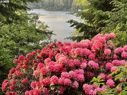 Waterfront Property for sale in Coos County, Oregon