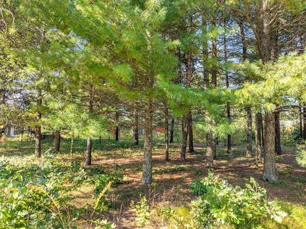 Undeveloped Land for sale in Sauk County, Wisconsin