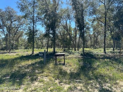 Timberland Property for sale in Clay County, Florida