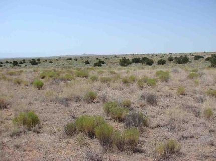 Undeveloped Land for sale in Sandoval County, New Mexico