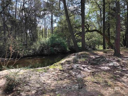 Hunting Property for sale in Baldwin County, Alabama