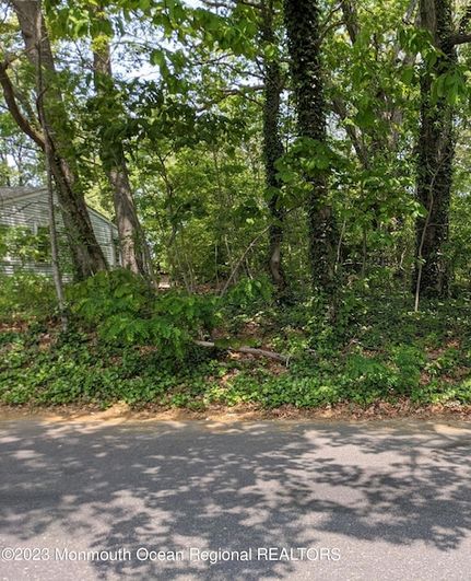 Undeveloped Land for sale in Ocean County, New Jersey