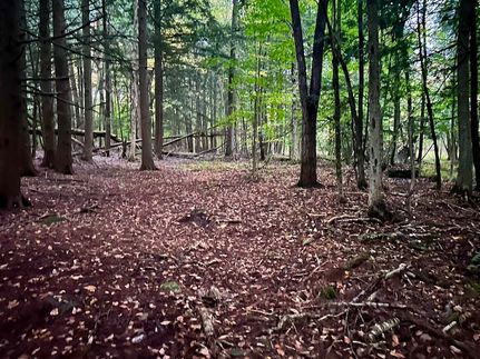 Timberland Property for sale in Franklin County, Vermont