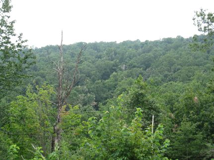 Recreational Property for sale in Le Flore County, Oklahoma