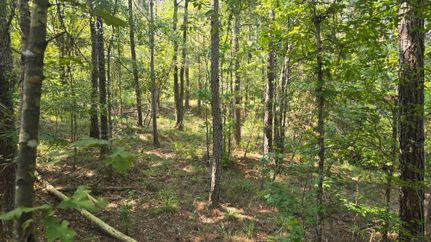 Land for sale in Franklin County, Mississippi