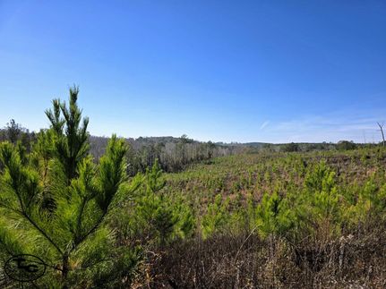 Farm and Ranch for sale in Perry County, Alabama