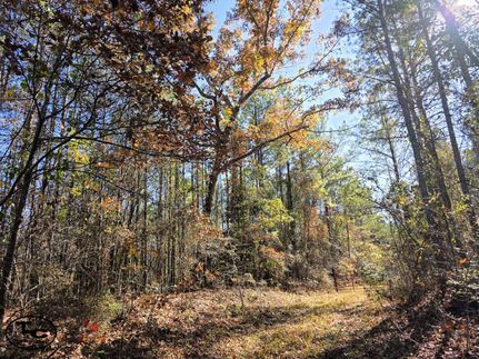 Farm and Ranch for sale in Perry County, Alabama