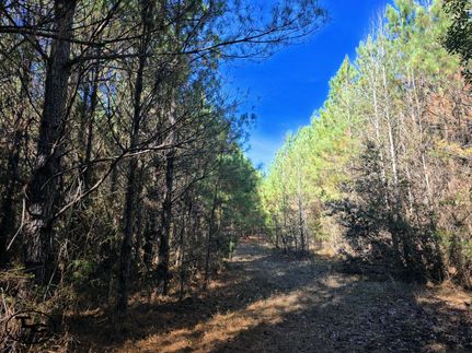 Recreational Property for sale in Perry County, Alabama