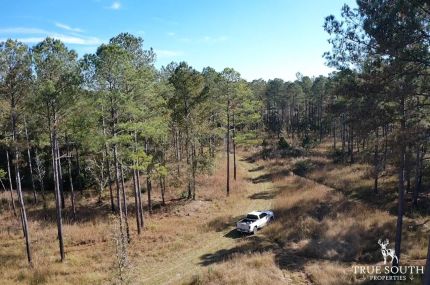Timberland Property for sale in Hampton County, South Carolina