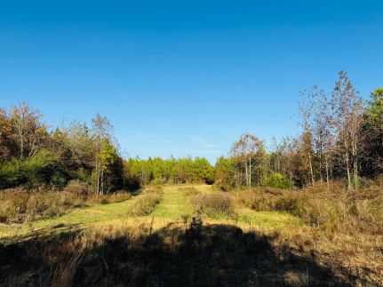 Hunting Property for sale in Attala County, Mississippi