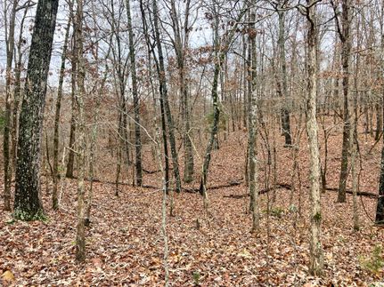 Land for sale in Ozark County, Missouri