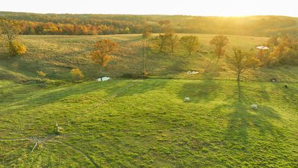 Farm and Ranch for sale in Texas County, Missouri