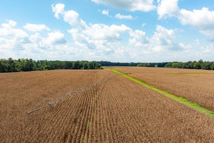 Land for sale in Calhoun County, Georgia
