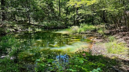 Timberland Property for sale in White County, Arkansas