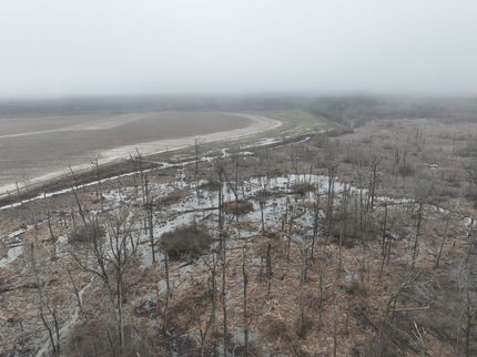 Farm and Ranch for sale in Ashley County, Arkansas