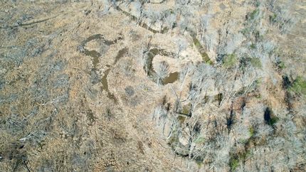 Land for sale in Jefferson County, Arkansas