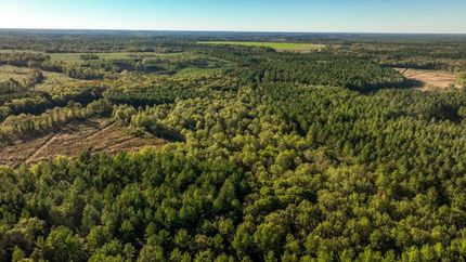 Timberland Property for sale in Jenkins County, Georgia