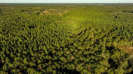 Timberland Property for sale in Jenkins County, Georgia