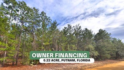 Undeveloped Land for sale in Putnam County, Florida