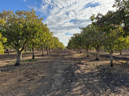 Land for sale in Tulare County, California