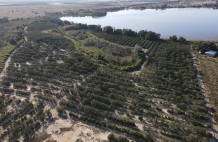 Recreational Property for sale in Polk County, Florida