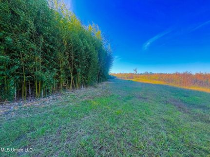 Farm and Ranch for sale in Walthall County, Mississippi