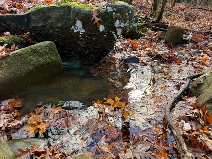 Land for sale in Carroll County, Arkansas