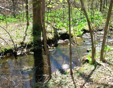 Land for sale in Trinity County, California