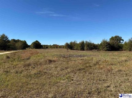 Undeveloped Land for sale in Chesterfield County, South Carolina