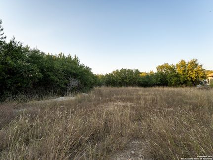 Undeveloped Land for sale in Blanco County, Texas