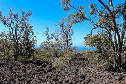 Timberland Property for sale in Hawaii County, Hawaii