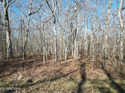 Undeveloped Land for sale in Cumberland County, Tennessee