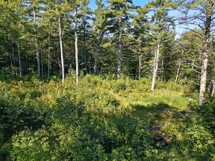 Timberland Property for sale in Belknap County, New Hampshire