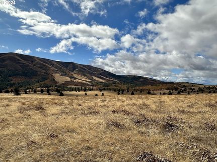 Undeveloped Land for sale in Klickitat County, Washington