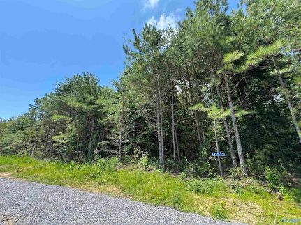 Undeveloped Land for sale in Marshall County, Alabama